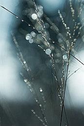 回合制战术RPG新作《野兽》预告片展示反派角色